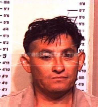 Jose Nelson Osegueda