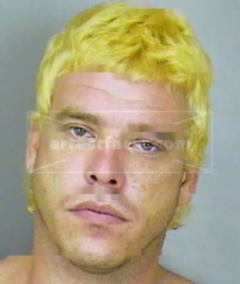 William Howard Groves