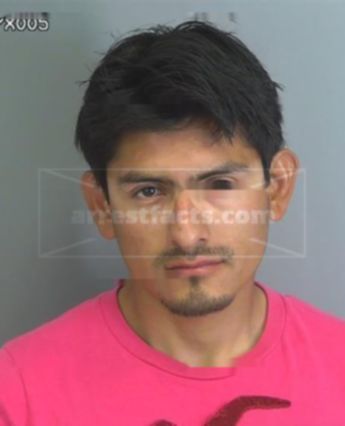 Moses Hernandez Cortez