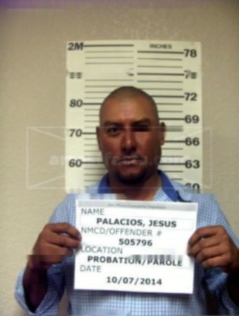 Jesus Ramon Palacios