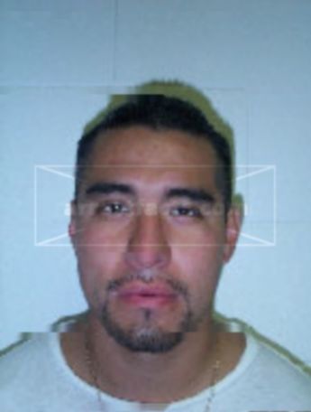 Fernando Tapia