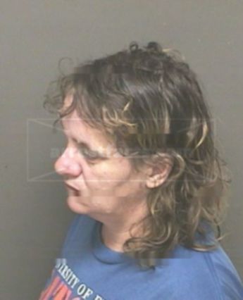 Lori Ann Heil