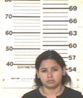 Tania Delgadillo Flores