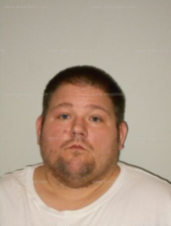 Andrew P Taylor