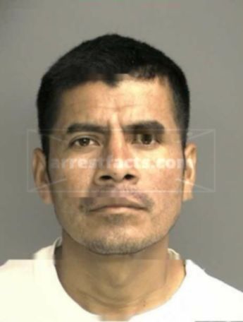 Morales Jarquin Sebastian