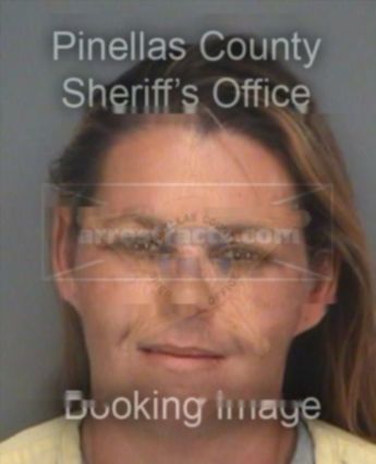 Virginia Michelle Anson