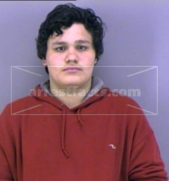 Anthony Michael Alvaro Loyola Jr.
