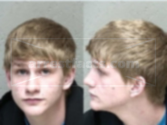 Andrew James Pelletier