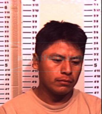 Pedro Calixto
