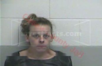 Meagan D Clements