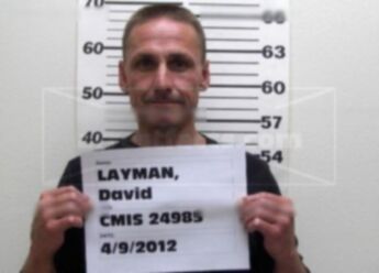 David Willard Layman