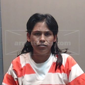 Berta Ybarra Vasquez