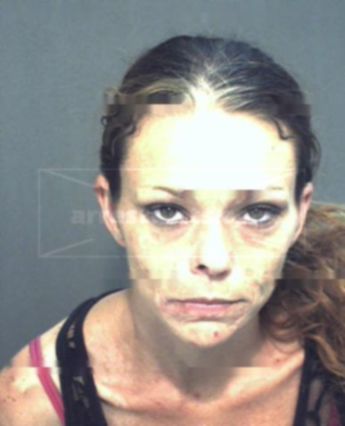 Wendi Mcclellan Holmes