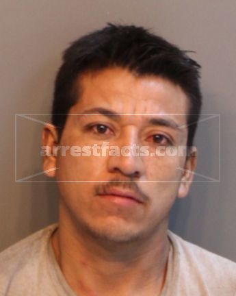 Elmer Avila