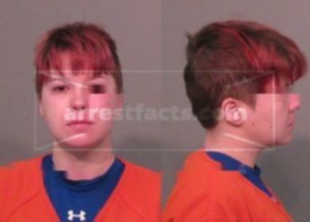 Ashley Carol Parish