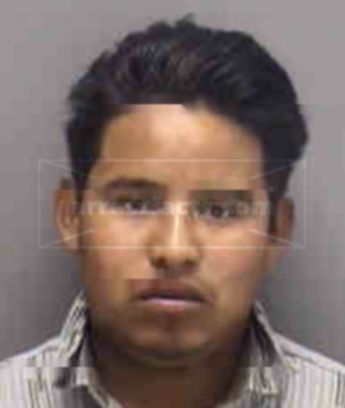 Alonso Mendez Cruz
