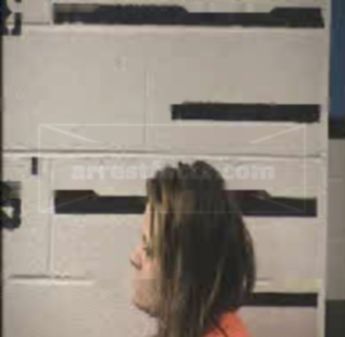Brandy Ann Silver