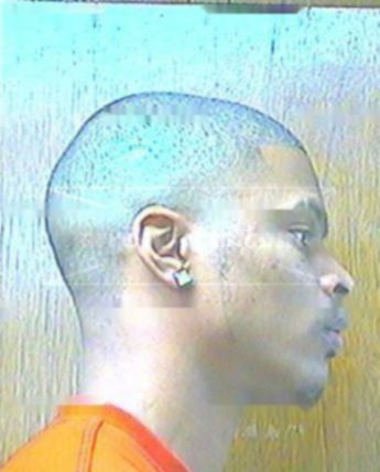 Lance B Williams