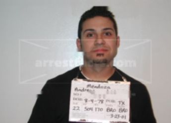 Andrew Lee Mendoza