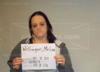 Melissa M Wollinger
