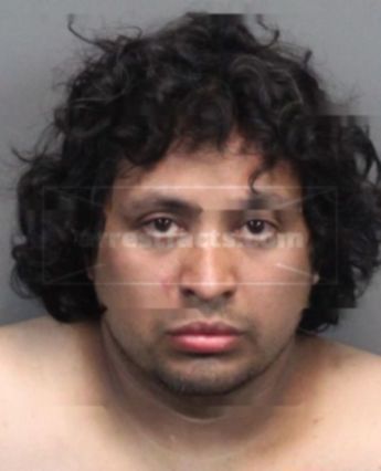 Mayolo Martinez Contreras Jr.