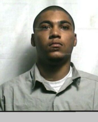Darelle M Fortner