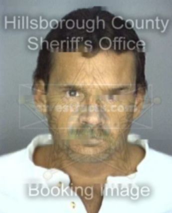 Michael J Hester