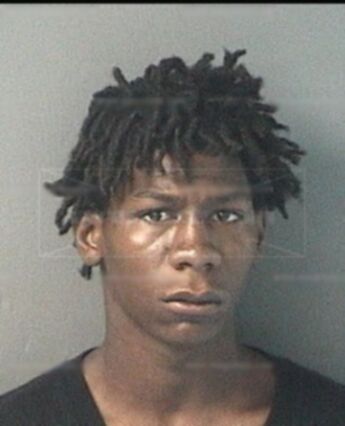 Henry Lee Jenkins