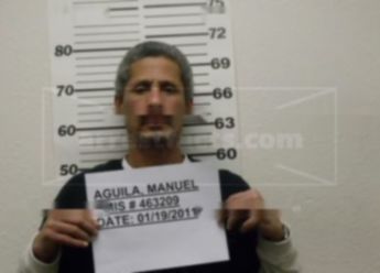 Manual Aguilar