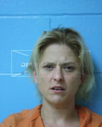 Lisa Lee Wilson Shandorf