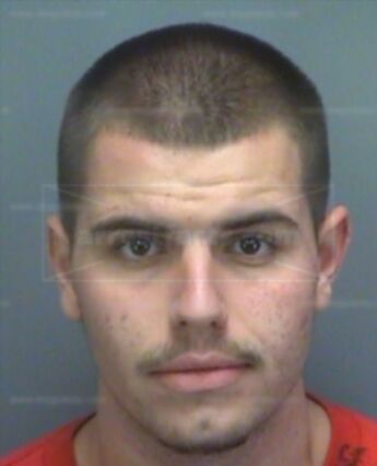 Stephen Troy Greene