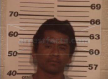 Carlos Aleman Nava