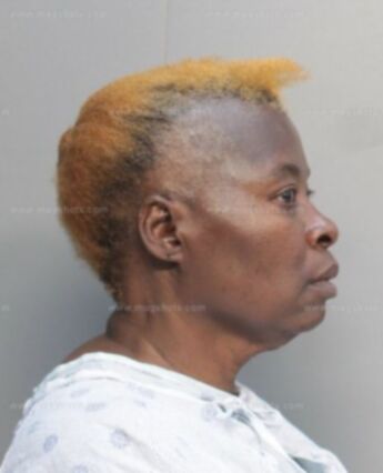 Vita Francis