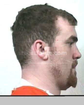 Henry Bruce Horn
