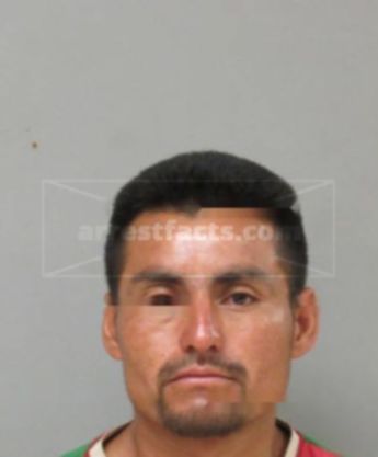 Daniel Pacheco