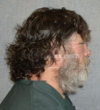 David G Steele
