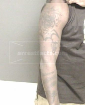 Timothy Wesley Williams