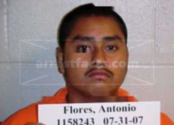 Antonio Tolentino Flores