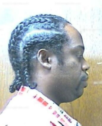 Darwin L White
