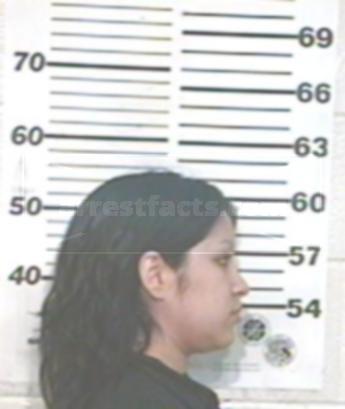 Silvia Yasmin Garcia Villalpando