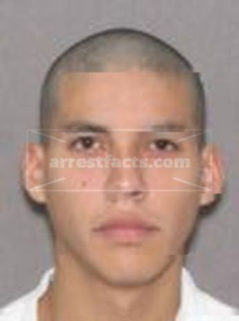 David Flores