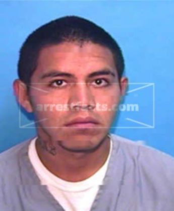 Jose D Rincon