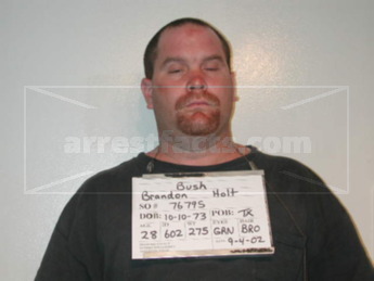 Brandon Holdt Bush