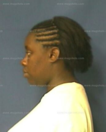 Meshell K Brice