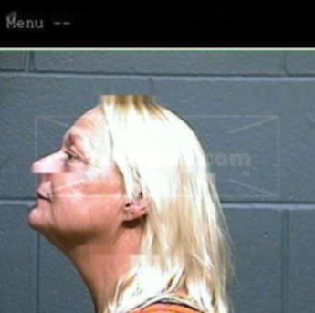 Vicky Lee Dugger