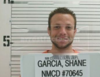 Shane David Garcia