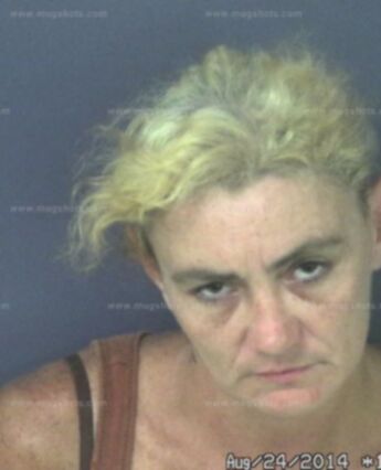 Christie Lee Hemanes