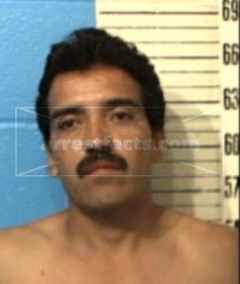 Jose L Castro