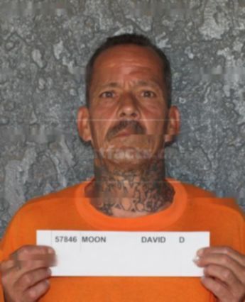 David D Moon