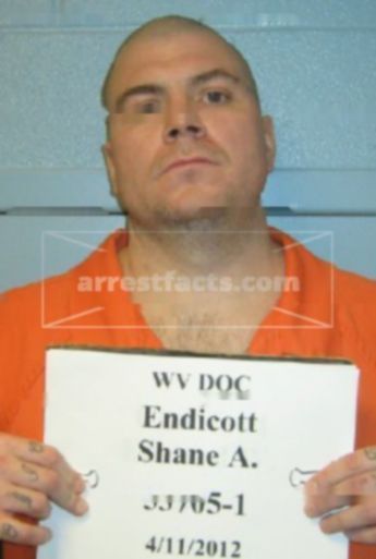 Shane Allen Endicott